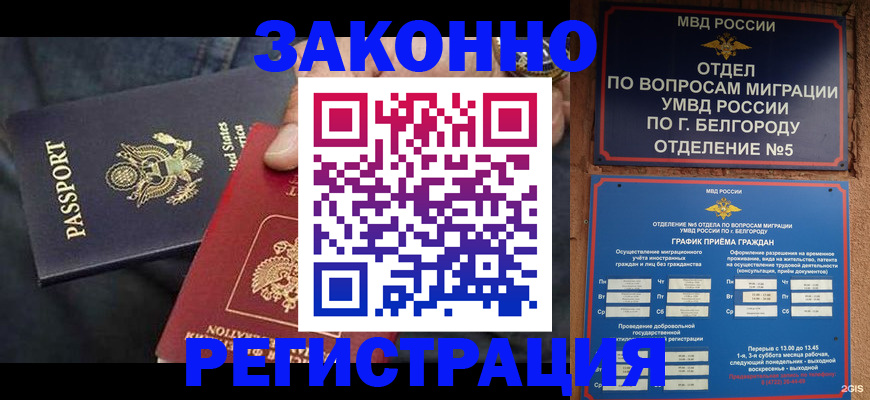 прописка законно в Михайлове